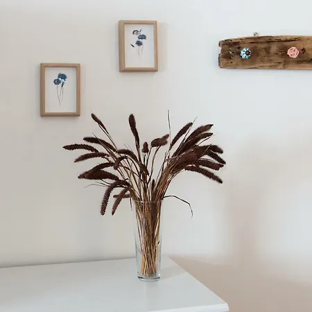 Apartmán Casa Di Irene
